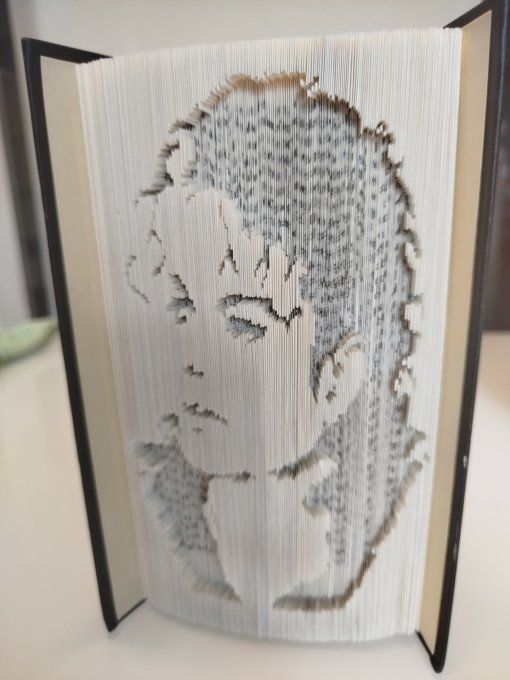 Mr Mickaël Jackson