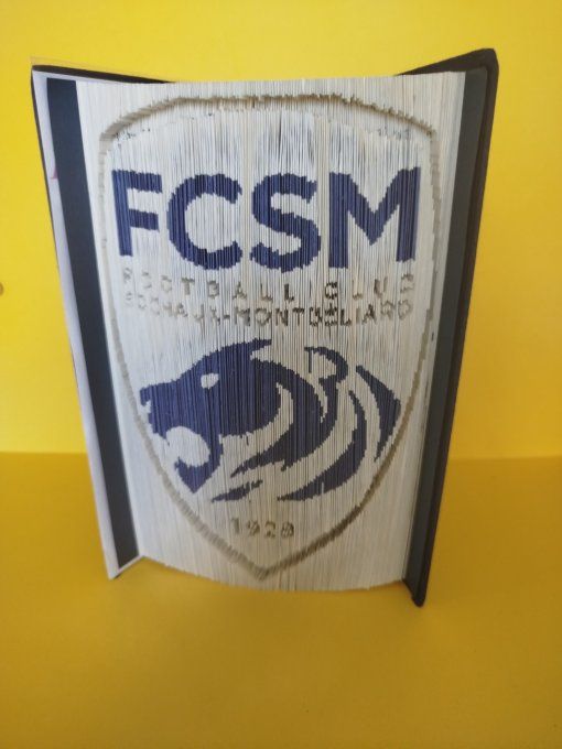 F.C.S.M ( coupé plié)