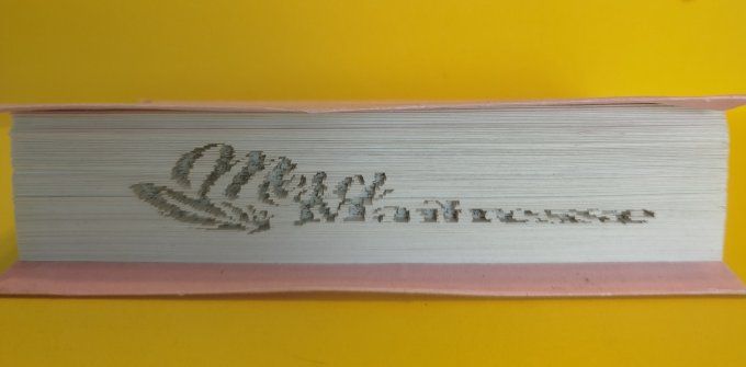 Message " merci maîtresse" ( méthode coupé plié)