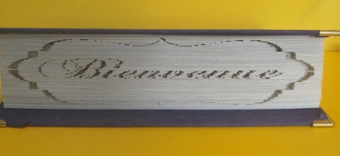 Message " bienvenue" ( méthode coupé plié)
