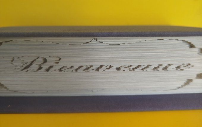 Message " bienvenue" ( méthode coupé plié)