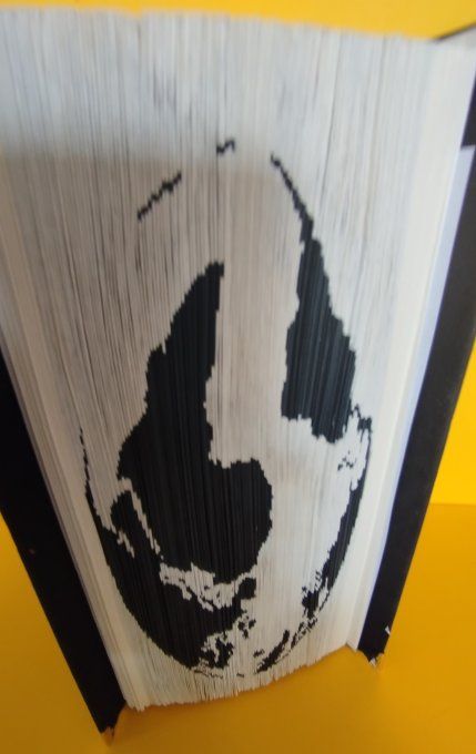 Globe terrestre ( méthode coupé plié)