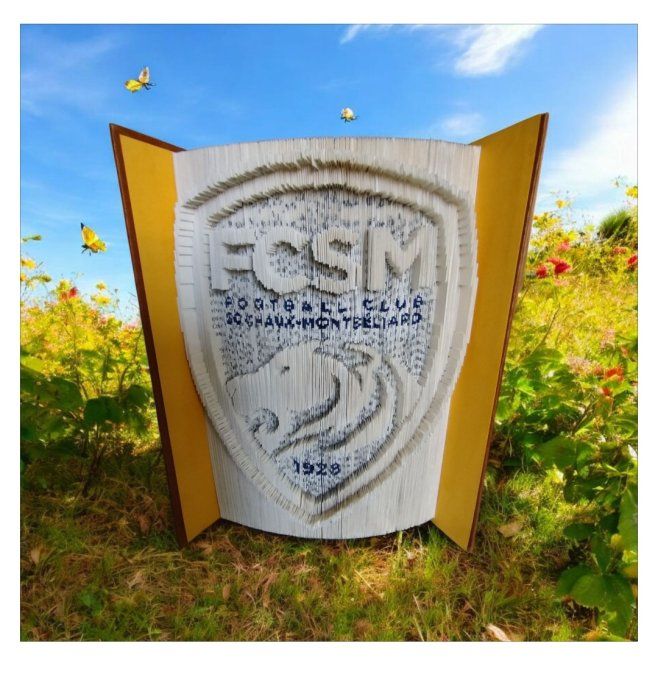 Fcsm ( méthode coupé plié)