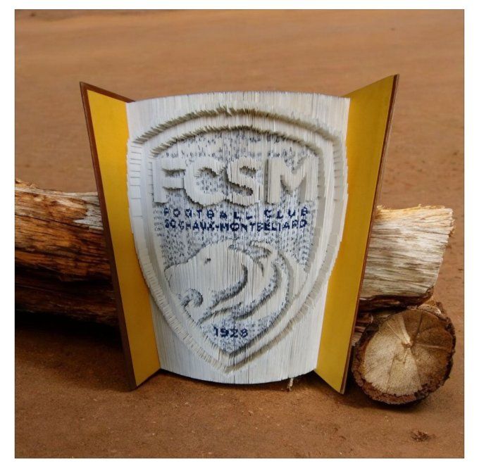Fcsm ( méthode coupé plié)