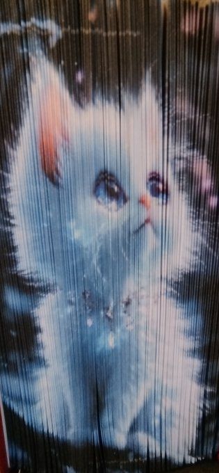 Chaton ( méthode strip)