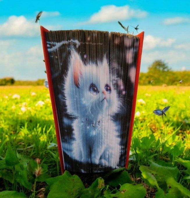 Chaton ( méthode strip)